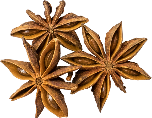 Star Anise Spice Transparent Png